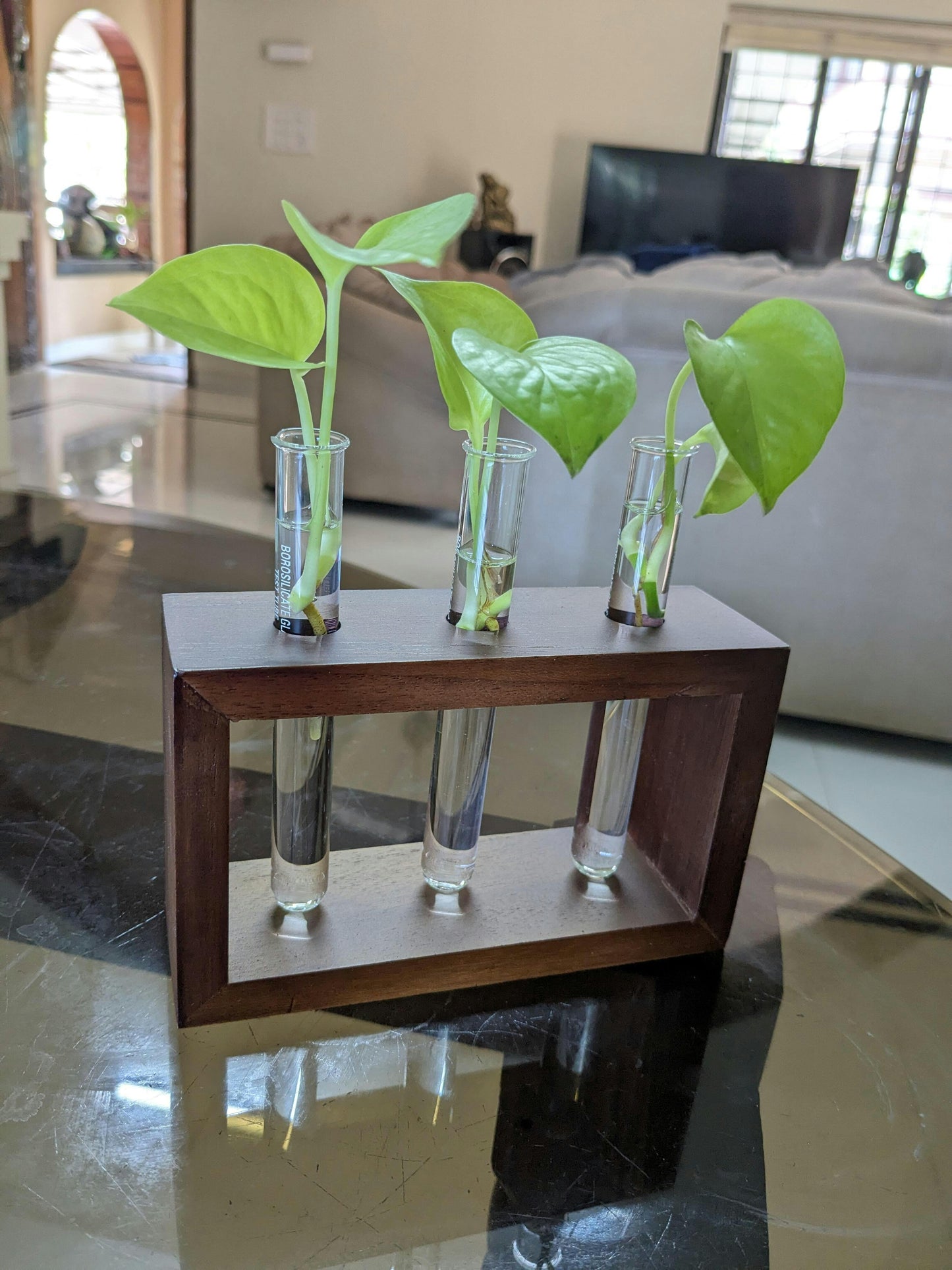 Test Tube Planter with Wooden Holder