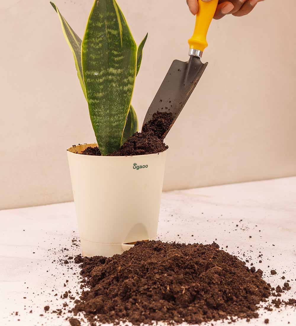 UltraGrow - Organic Cow Manure