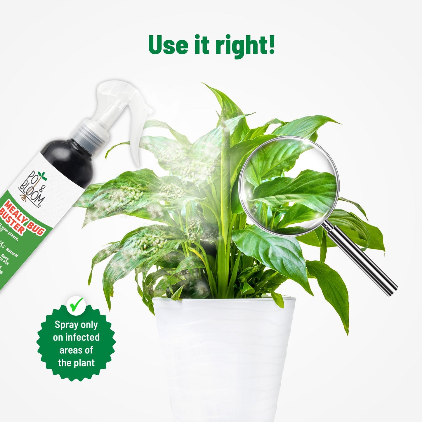 Pot and Bloom Mealy Bug Buster, ready to use spray