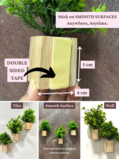 Mini Wall Wooden Planter with Plants