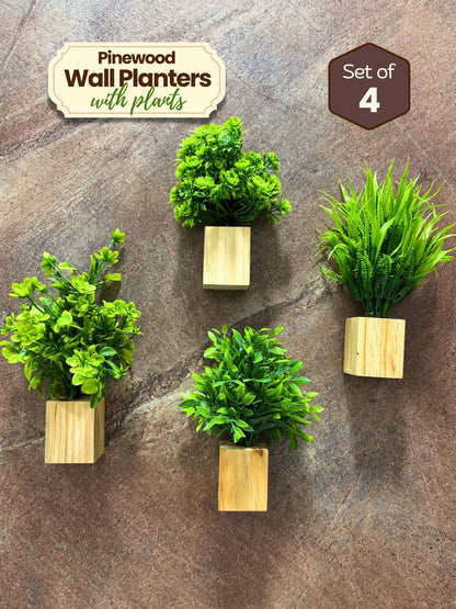 Mini Wall Wooden Planter with Plants