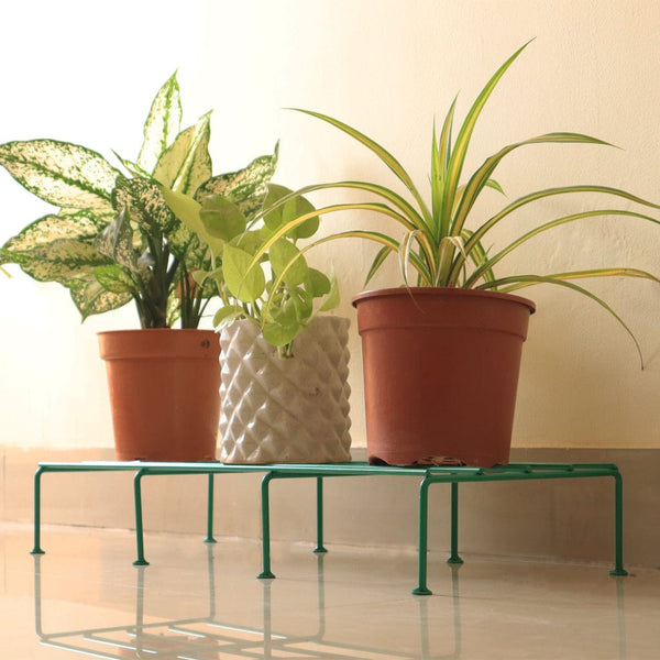 Planter Stand for Plants