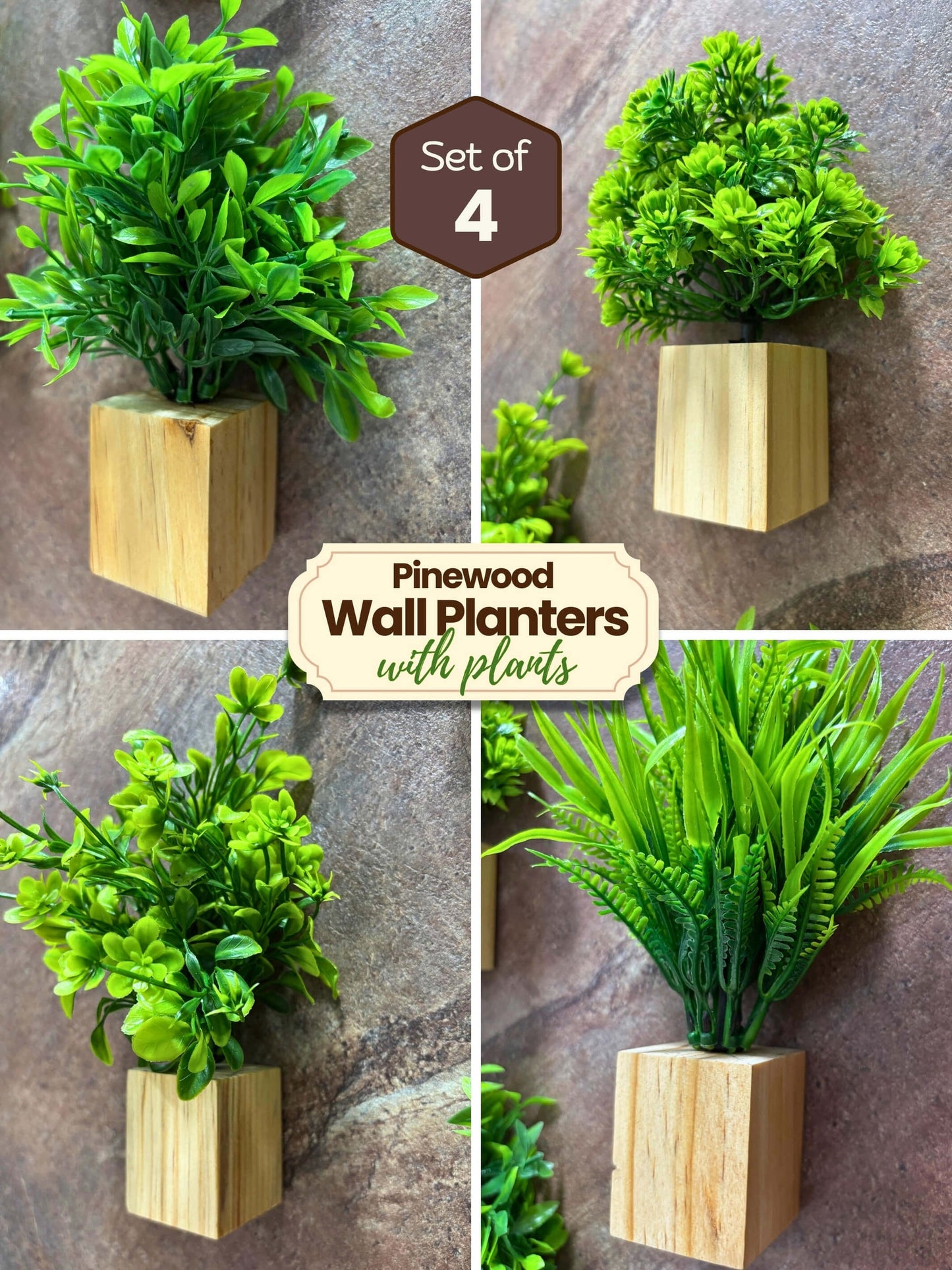 Mini Wall Wooden Planter with Plants