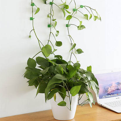 UltraClimb™ - Plant Wall Clips