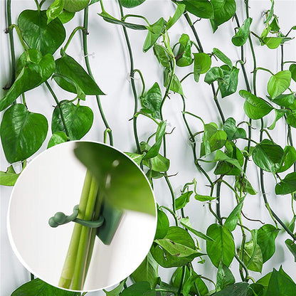 UltraClimb™ - Plant Wall Clips