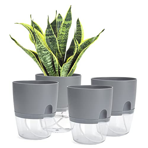 Self Watering Plant Pot