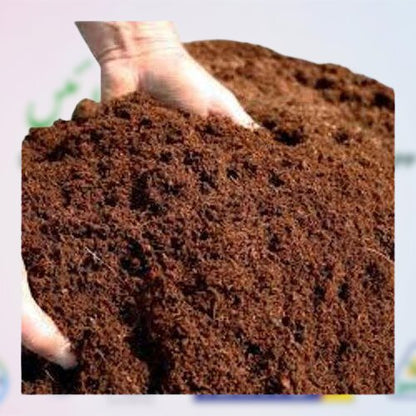 Coco Peat Powder