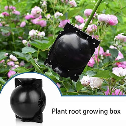 Plant Root Growth Box