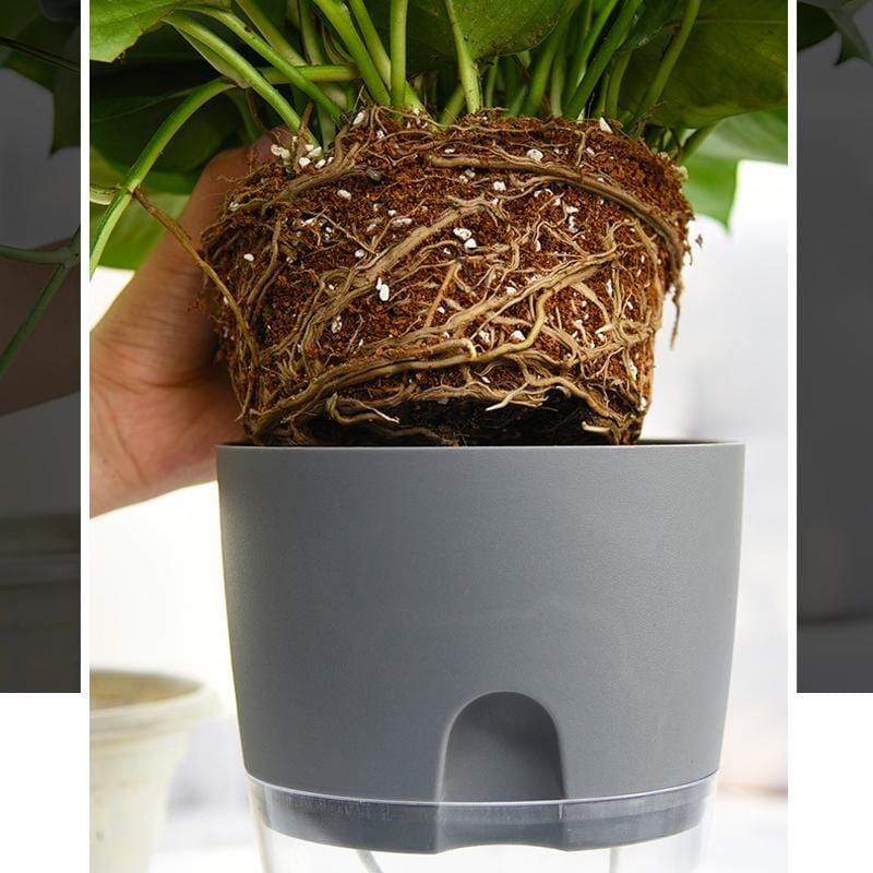 Self Watering Plant Pot