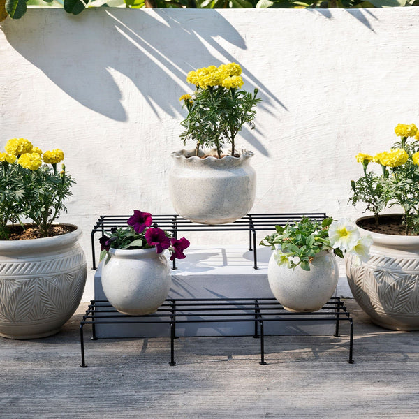 Planter Stand for Plants