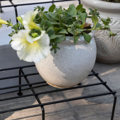 Planter Stand for Plants