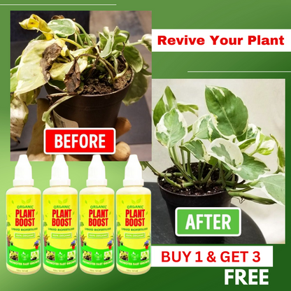 Organic Plant Boost Liquid Bio fertilizer | 🔥Buy 1 get 3 free🔥