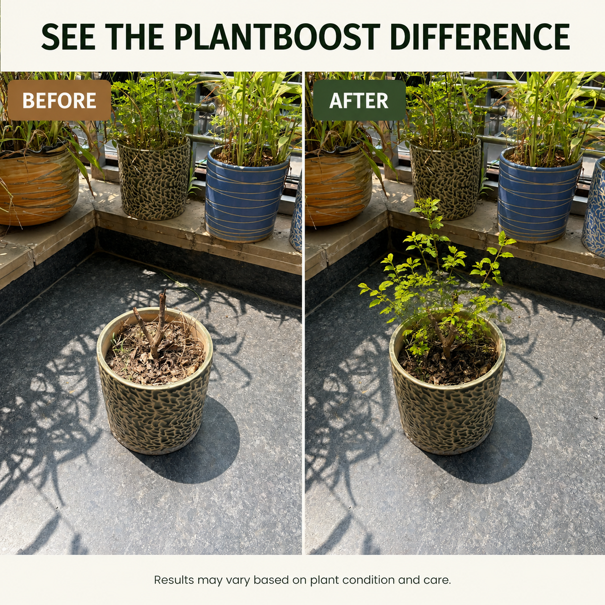 Plant Boost Complete Growth Combo
