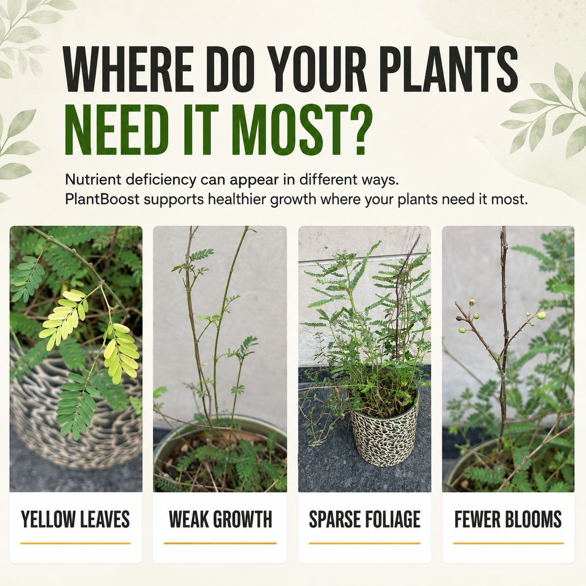 Plant Boost Complete Growth Combo