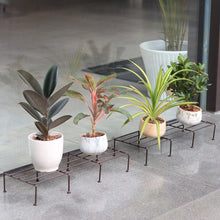 Load image into Gallery viewer, Planter Stand for Plants
