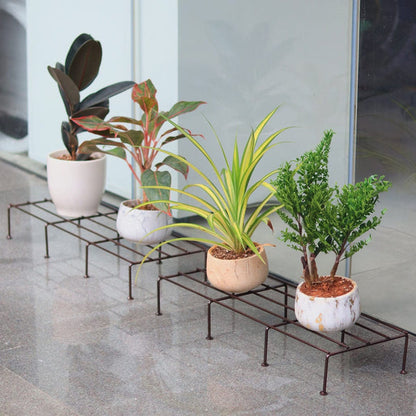 Planter Stand for Plants