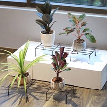 Load image into Gallery viewer, Planter Stand for Plants
