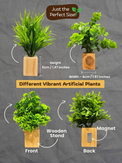 Mini Wall Wooden Planter with Plants