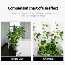 Load image into Gallery viewer, UltraClimb™ - Plant Wall Clips
