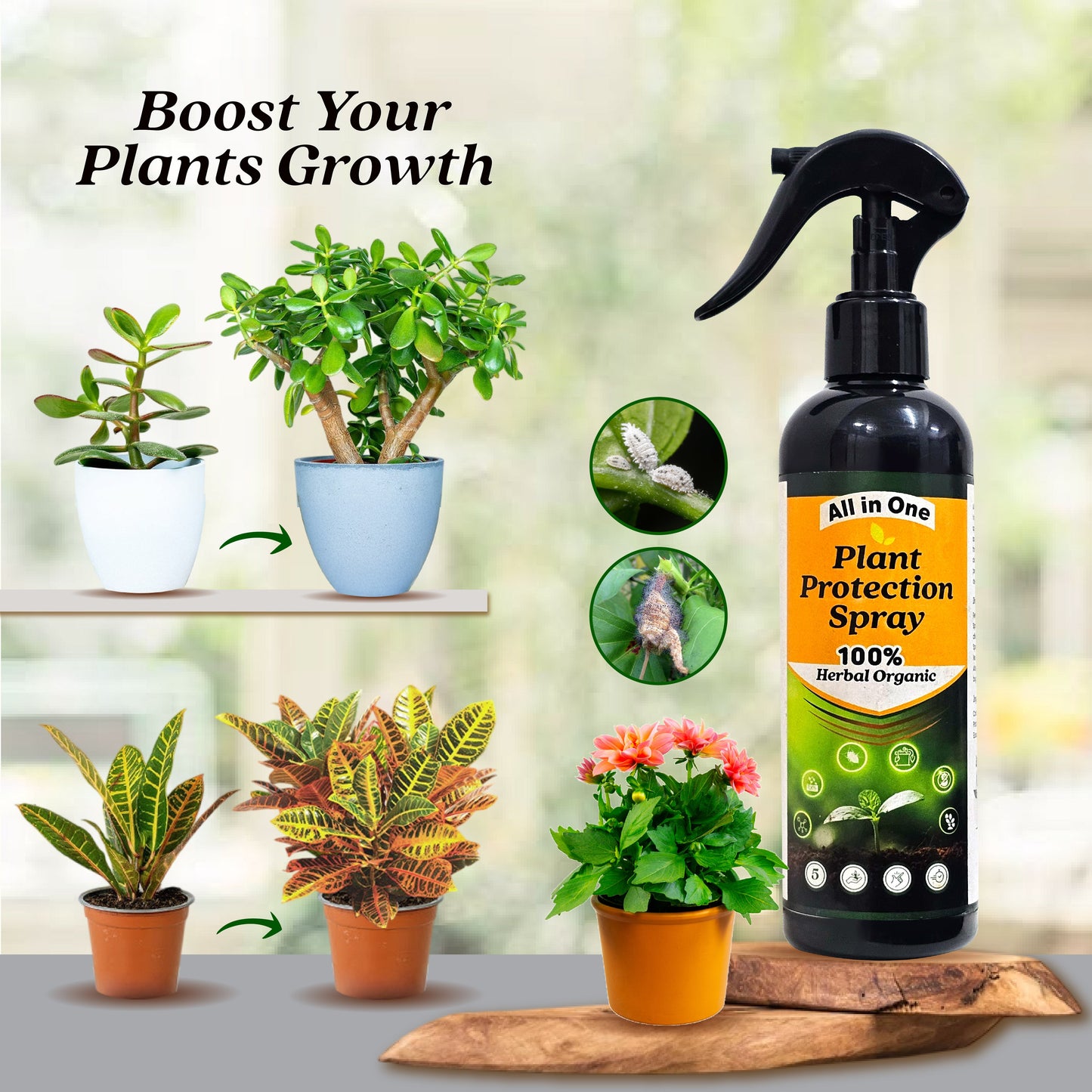 PlantShield - All in One Plant Protection Spray 🌿🛡️(Buy 1 Get 1 Free🔥🔥)