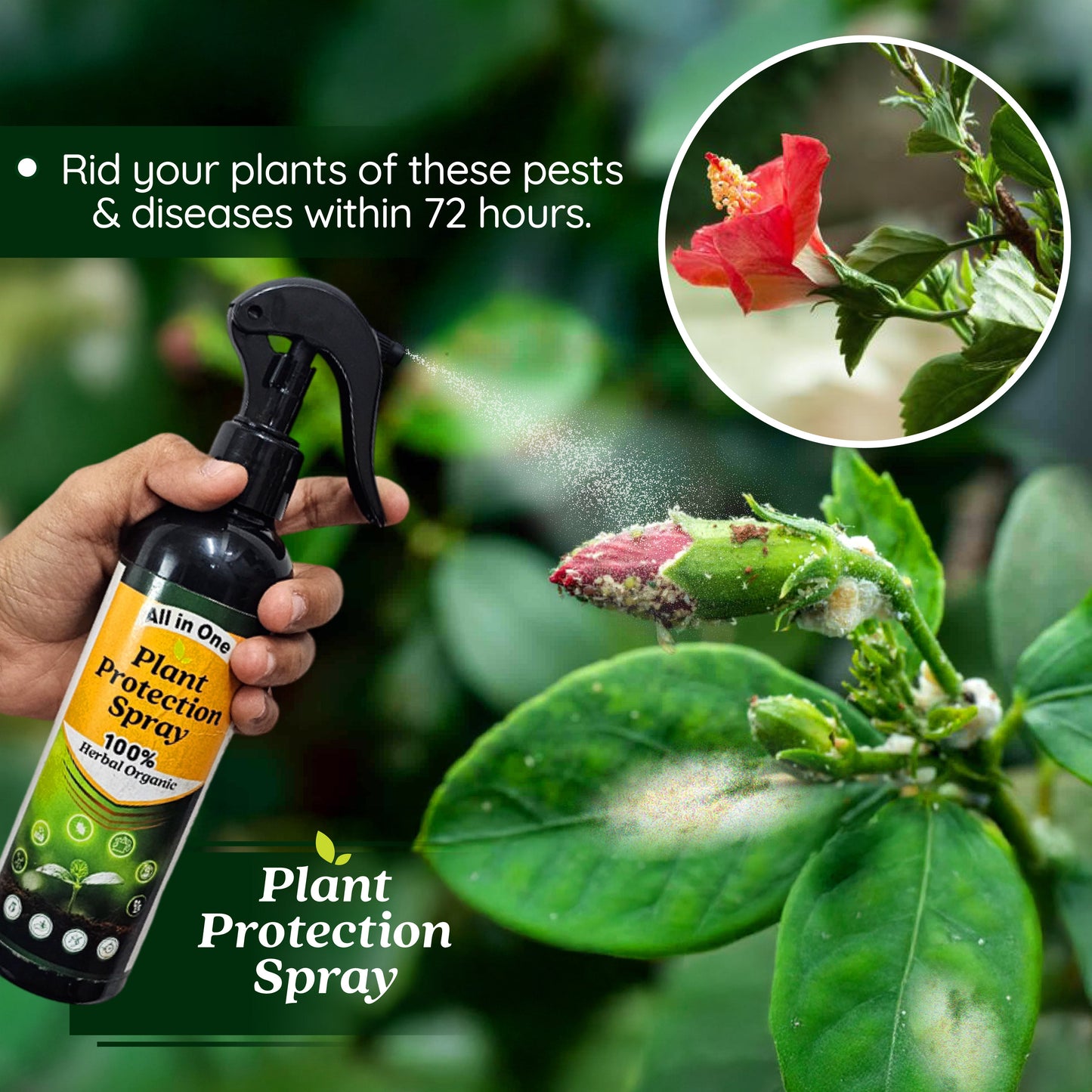 PlantShield - All in One Plant Protection Spray 🌿🛡️(Buy 1 Get 1 Free🔥🔥)