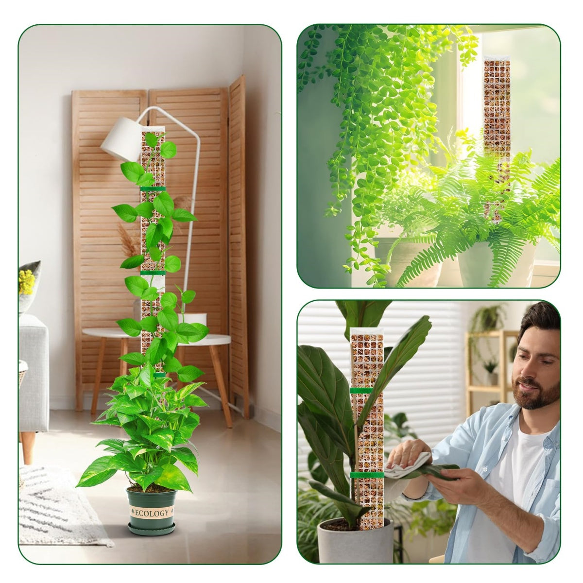 Ultra - Moss Stack Pole for climbing Plants