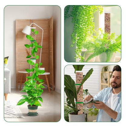 Ultra - Moss Stack Pole for climbing Plants
