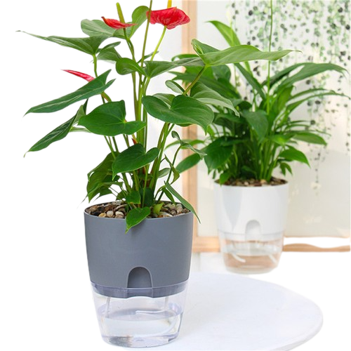 Self Watering Plant Pot