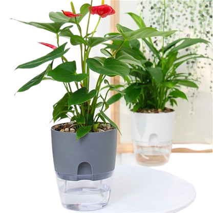 Self Watering Plant Pot