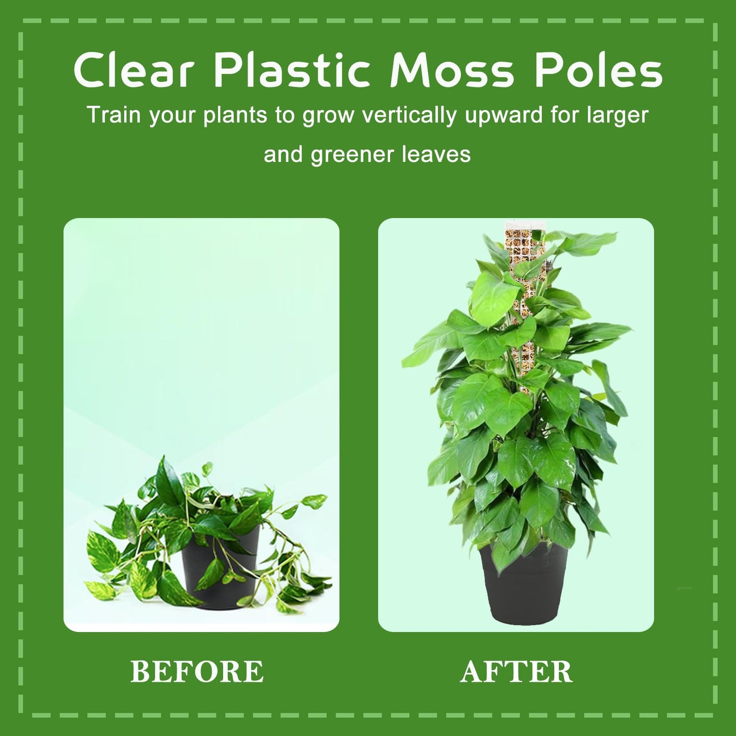 Ultra - Moss Stack Pole for climbing Plants