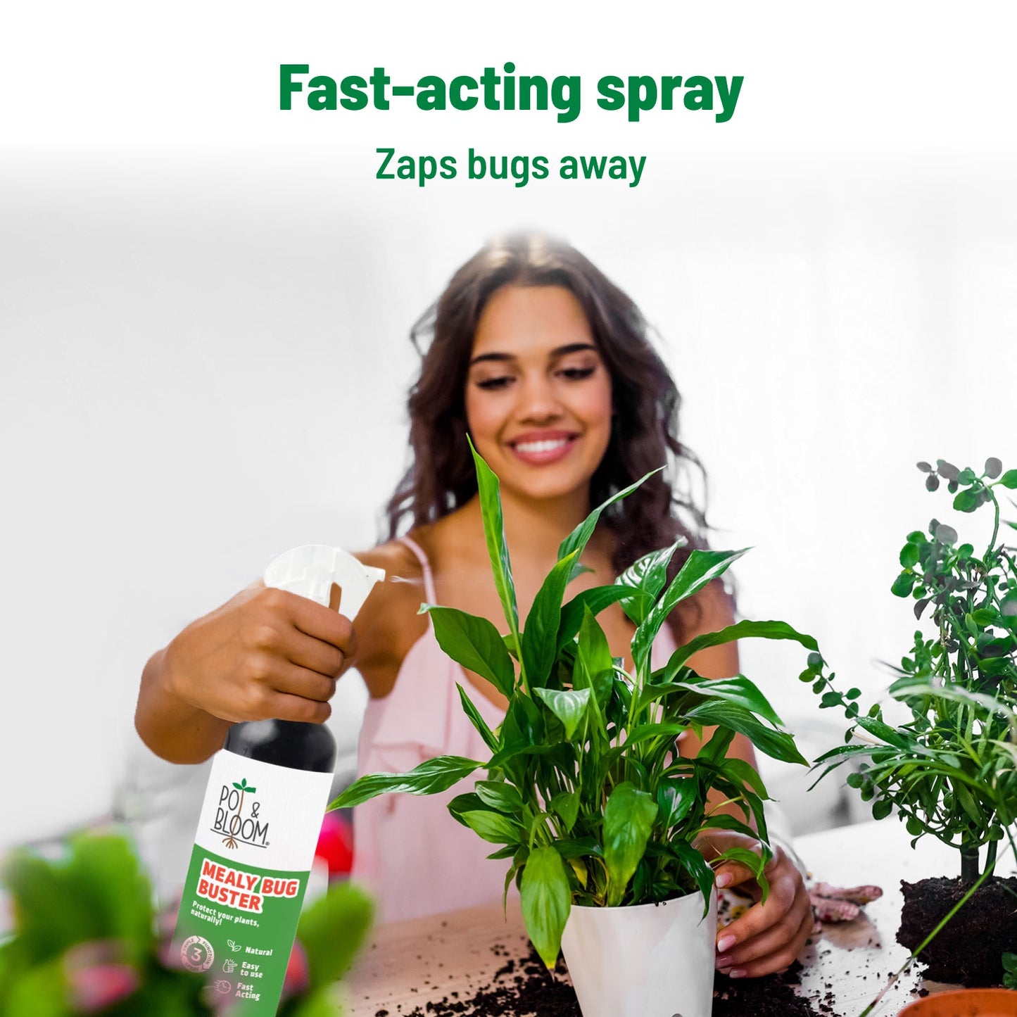 Pot and Bloom Mealy Bug Buster, ready to use spray