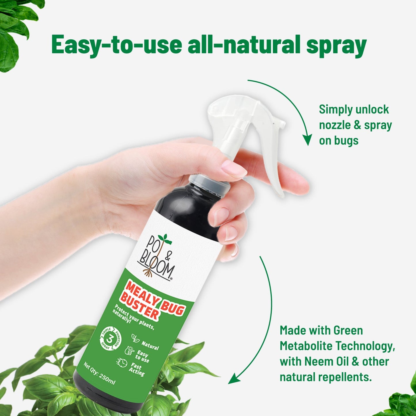 Pot and Bloom Mealy Bug Buster, ready to use spray