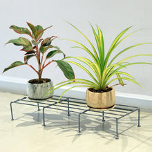 Load image into Gallery viewer, Planter Stand for Plants
