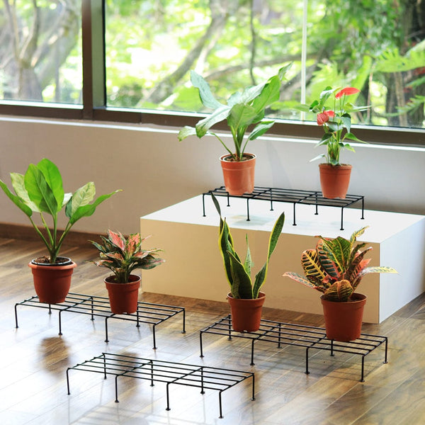 Planter Stand for Plants