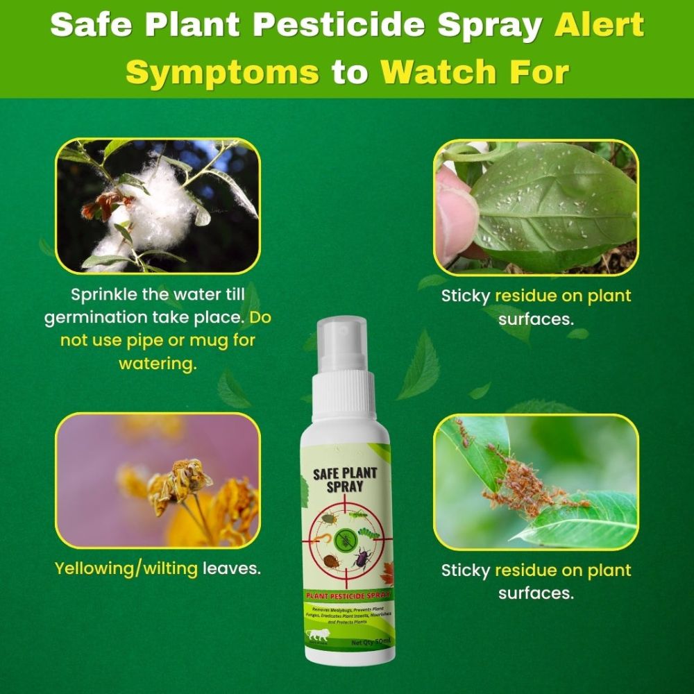 Natural Plant Care Combo - Plant Boost with Safe Plant Sprays