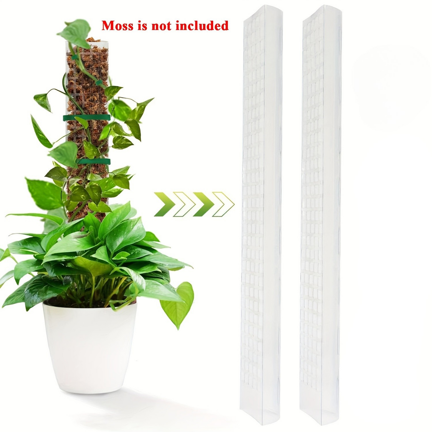 Ultra - Moss Stack Pole for climbing Plants