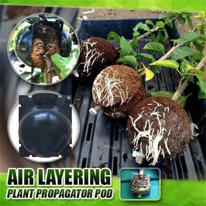 Plant Root Growth Box