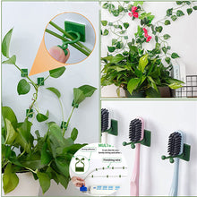 Load image into Gallery viewer, UltraClimb™ - Plant Wall Clips
